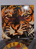 Survivor eye of the tiger vinyl lp, Cd's en Dvd's, Vinyl | Hardrock en Metal, Ophalen of Verzenden, Zo goed als nieuw