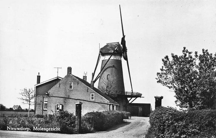 U959 Nieuwdorp Molengezicht - MOLEN - uitg Adel Goes -, Verzamelen, Ansichtkaarten | Nederland, Zeeland, Ophalen of Verzenden