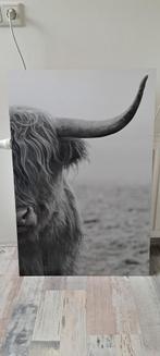 Schilderij schotse hooglander afm 90x60cm, Ophalen, Zo goed als nieuw, Schilderij, Minder dan 50 cm