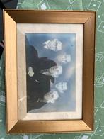 Vintage Foto met Gouden Lijst - Vijf Mannen Portret - Namen, Ophalen of Verzenden