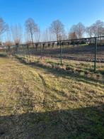 Hekwerk met gaas, Ophalen, Gebruikt, IJzer