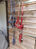 2 nieuwe halster sets full Anky en BR, Ophalen of Verzenden, Nieuw