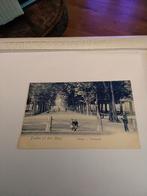 GROETEN UIT DEN HAAG.  LANGE. VOORHOUT, Verzamelen, Ophalen of Verzenden, Voor 1920, Zuid-Holland