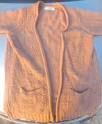 Trui truien vest vesten sweater wol dames L XL sissy boy pak, Ophalen of Verzenden, Zo goed als nieuw, Maat 46/48 (XL) of groter