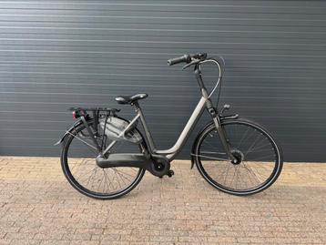 Zeer Nette Gazelle Orange C7 beschikbaar voor biedingen