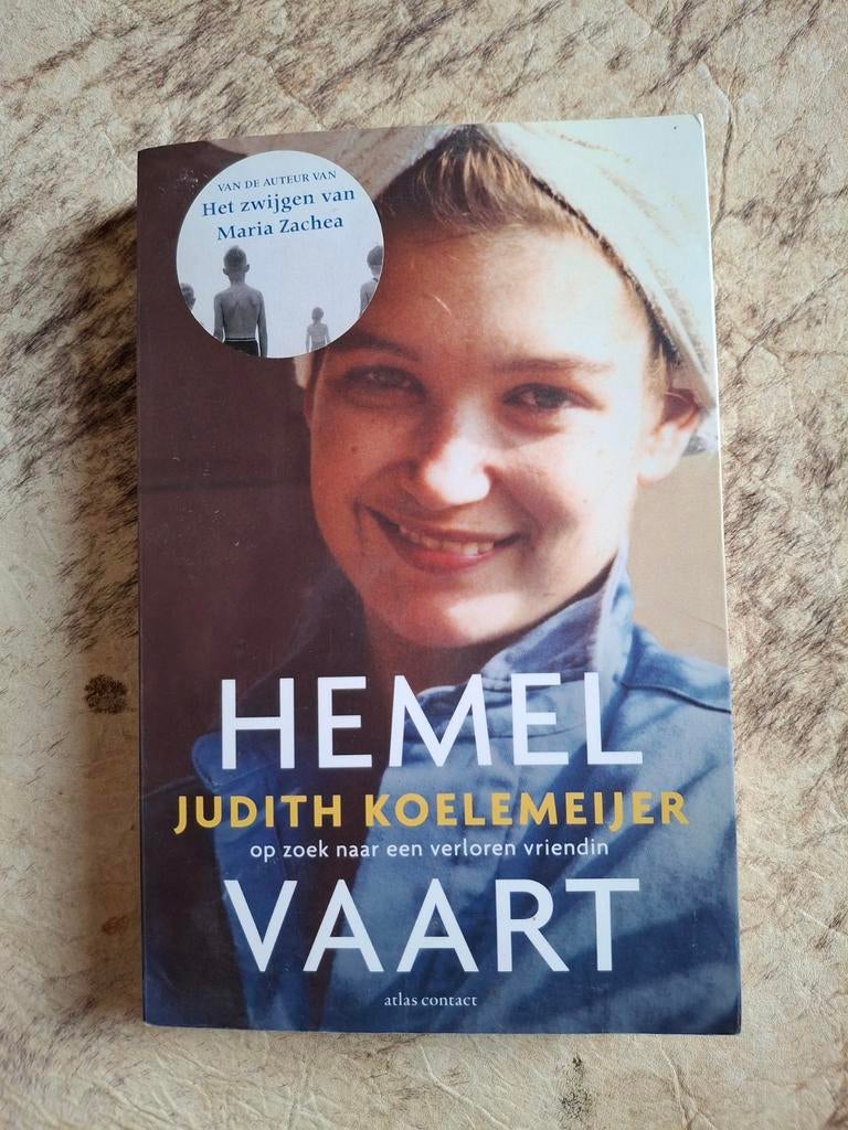 Hemel - Judith Koelemeijer - Zo goed als nieuw, Boeken, Ophalen of Verzenden, Zo goed als nieuw, Judith Koelemeijer, Nederland