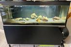 Te koop mooi FragerVolglas aquarium, Dieren en Toebehoren, Vissen | Aquaria en Toebehoren, Ophalen, Zo goed als nieuw, Filter of Co2