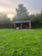 Weiland te huur, Dieren en Toebehoren, Weidegang, 2 of 3 paarden of pony's