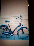 Nette Batavus Mambo Damesfiets., Ophalen, 53 tot 56 cm, Versnellingen, Batavus