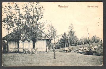 Oude Ansicht - Veendam Hertenkamp - Gr beschikbaar voor biedingen
