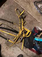 Ren training hoofdstel, Dieren en Toebehoren, Ophalen of Verzenden, Zo goed als nieuw, Overige soorten