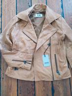 Prachtig dames jas. Echt leer. Nieuw. Maat S, Beige, Nieuw, Ophalen of Verzenden, Maat 36 (S)