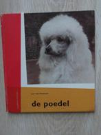 DE POEDEL-JAN VAN RHEENEN ZGAN, Honden, Ophalen of Verzenden, AN VAN RHEENEN, Zo goed als nieuw