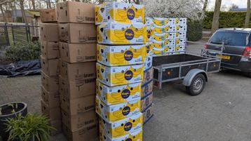 Bananen dozen te koop beschikbaar voor biedingen