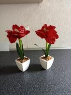 2 prachtige kunst amarilles bloemen in witte potjes, Ophalen of Verzenden, Zo goed als nieuw