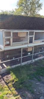 Broedkooien uitvlieg kooi 2 stuks, Dieren en Toebehoren, Ophalen, Zo goed als nieuw, Aluminium, Broedkooi of Kweekkooi