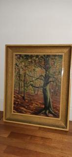 Olieverf schilderij " het bos". Gesigneerd., Antiek en Kunst, Ophalen of Verzenden