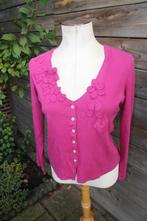 Vest fuschia ap by bruphils two mt L Vaste prijs, Kleding | Dames, Maat 42/44 (L), Zo goed als nieuw, Roze, Ap by bruphils two