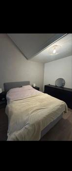 Leenbakker Twijfelaar - 4 jaar oud, Ophalen, Gebruikt, 140 cm, Twijfelaar