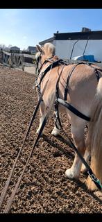 Te koop ideal kunstof tuig maat cob, Dieren en Toebehoren, Ophalen of Verzenden, Zo goed als nieuw