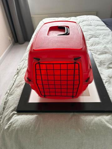 Kattenreismand beschikbaar voor biedingen