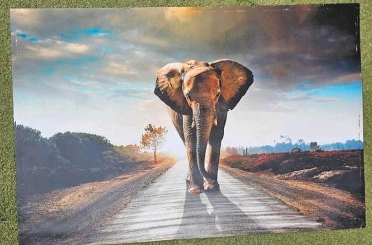 Tuinposter 60 x 90 cm, Antiek en Kunst, Kunst | Schilderijen | Modern, Ophalen