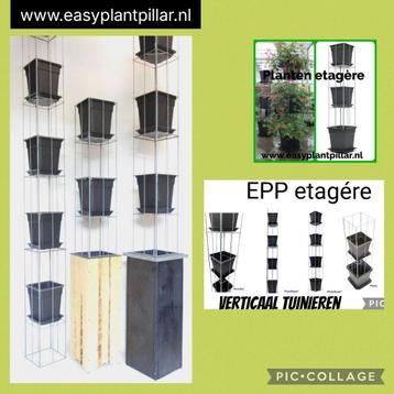 Plantenrekken voor in potten en bakken beschikbaar voor biedingen