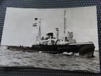 ansichtkaart sleepboot "Maas", Ophalen of Verzenden, Motorboot, Kaart, Foto of Prent