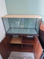 Knaagdier terrarium met aquarium kast en diverse spullen, Minder dan 60 cm, Hamster, Ophalen of Verzenden, Zo goed als nieuw