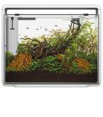 Aquarium superfish home 80, Dieren en Toebehoren, Vissen | Aquaria en Toebehoren, Ophalen of Verzenden, Zo goed als nieuw, Leeg aquarium