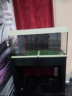 Juwel aquarium, Dieren en Toebehoren