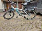 Alpine Yabber 20 inch jongensfiets, Gebruikt, Ophalen of Verzenden, 20 inch