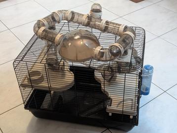Hamsterkooi met loopbuizen beschikbaar voor biedingen