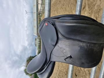 Sella Dolce dressuurzadel 16 inch beschikbaar voor biedingen