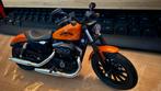 Schaalmodel Harley Davidson Sportster, Ophalen of Verzenden, Zo goed als nieuw, Motor, Overige merken