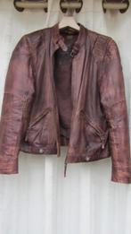 Gipsy leren jasje, Kleding | Dames, Gipsy, Verzenden, Paars, Maat 46/48 (XL) of groter