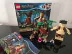 Lego 75967 Harry Potter Het Verboden Bos: Omber's ontmoeting, Ophalen of Verzenden, Zo goed als nieuw