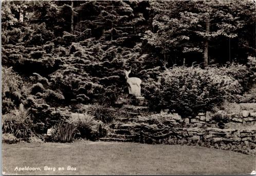 Apeldoorn - Berg en Bos (1967), Verzamelen, Ansichtkaarten | Nederland, Gelopen, Gelderland, 1960 tot 1980, Verzenden