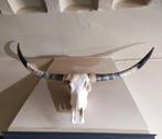 Prachtige ECHTE longhorn skull compleet met achterhoofd!, Zo goed als nieuw, Ophalen