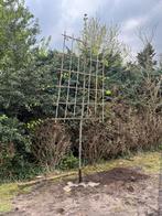 Leilinde, Tuin en Terras, Ophalen, Leiboom, 250 tot 400 cm