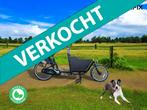 2dehands korte bakfiets geschikt voor honden en of kinderen, Cangoo, Info@cangoo.com, Ophalen of Verzenden, Zo goed als nieuw