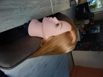 Kappershoofd beschikbaar voor biedingen