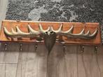 Kapstok/ hout/ eland, Huis en Inrichting, Woonaccessoires | Kapstokken, Zo goed als nieuw, Minder dan 100 cm, Hout, Ophalen