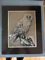 Ets tekening sneeuw uil zilver look in lijst 23x28 cm, Ophalen, Minder dan 50 cm, Gebruikt, Overige typen