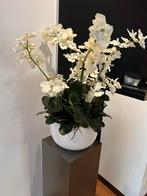 Kunst Orchidee met pot (2x) en 2 extra witte potten, Binnen, Zo goed als nieuw, Ophalen