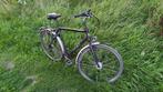TREK Daytona, Fietsen en Brommers, Gebruikt, Versnellingen, 53 tot 57 cm, Ophalen