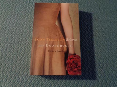 Brieven aan Doornroosje - Toon Tellegen, Boeken, Romans, Zo goed als nieuw, Nederland, Ophalen of Verzenden