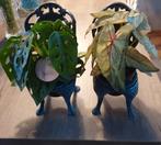 2 gietijzeren stoeltjes voor plantjes, Ophalen, Gebruikt, Minder dan 30 cm, Rond