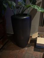 Bloempotten groot, 40 cm of meer, Rond, Binnen, Ophalen of Verzenden