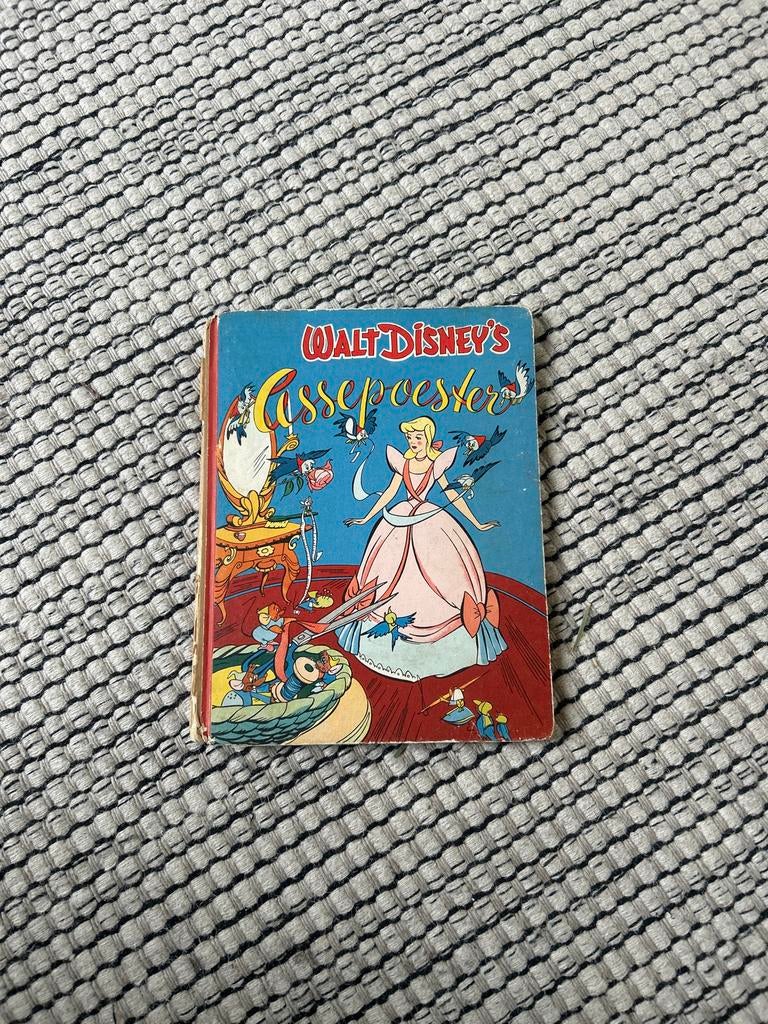 Assepoester, Ophalen of Verzenden, Gelezen